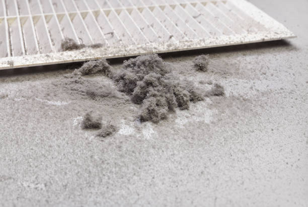 Best HVAC Air Duct Cleaning  in Inman, SC